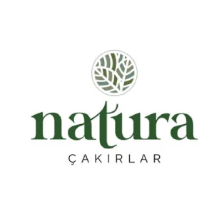 Göktürkler 1 Güvenlik referans logosu
